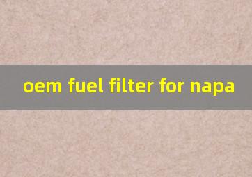 oem fuel filter for napa